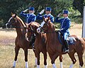 Royal Swedish Life Guard dragoons in 2015