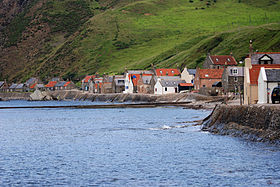 Crovie