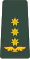 პოლკოვნიკი P’olk’ovnik’i[8] (Georgian Land Forces)