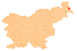 Location of the Municipality of Dobrovnik in Slovenia
