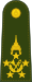 泰國陸軍元帥肩章