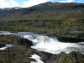 Stabbursdalen national park