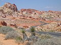 Valley of Fire.