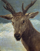 Tête de cerf, tableau attribué à Diego Vélasquez.