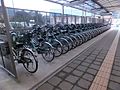 家浦港のレンタル電動自転車