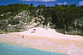 Île paradisiaque des Bermudes avec sa plage de sable rose