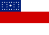ธงของรัฐอามาโซนัช