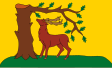 Berkshire zászlaja