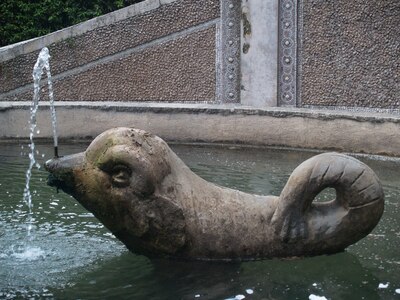 A dolphin in the fountain of the dragons