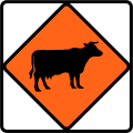 (TW-6) Watch for large animals (cattle)