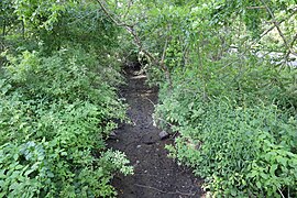 Glen Cove Creek near Old Brookville Village Hall