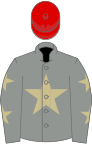 Grey, beige star, grey sleeves, beige stars, red cap