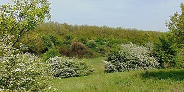 réserve naturelle de Malichevka, classé[6].