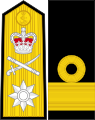 英國皇家海軍准將肩章及袖章