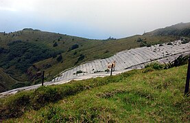 GREEN MOUNTAIN ASCENSION ISLAND.jpg