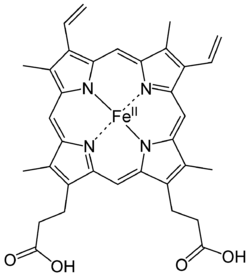 Heme group molecular structure