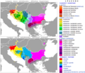 En bas, le serbe parmi les langues slaves méridionales (bleu)