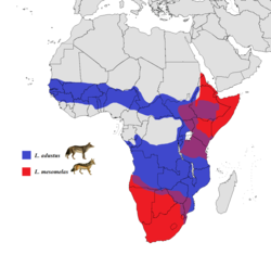 Distribución de Lupulella adusta (Azul) y Lupulella mesomelas (Rojo)