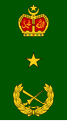 Brigedier jeneral (Malaysian Army)[33]