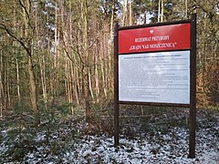 Rezerwat przyrody Grądy nad Moszczenicą.jpg