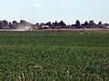 fields between village center and Siedlung Wartenberg