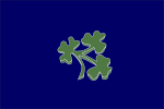 Vlag van die gemeenskaplike Ierse nasionale krieketspan
