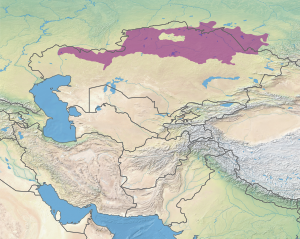 Ecoregion territory (in purple)