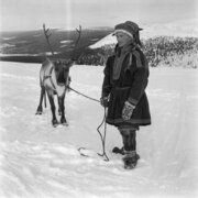 Eelis Lantto (or Lanton) with his reindeer on the Mount Ylläs, Kolari, Finnish Lapland, in 1954 (JOKAUAS2 1B02-1).tif