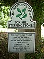 Box Hill Stepping Stones