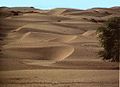 Dune in Sechura desert