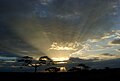 Залазак сунца у Серенгетију у Танзанији