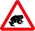 Migratory toad crossing