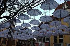 Umbrella Road Winter.jpg