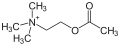 Deutsch: Struktur von Acetylcholin English: Structure of acetylcholine