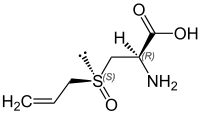 Alliin skeletal view