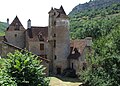 Old Château de Limargue.