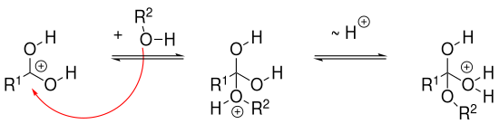 Mechanismus 2 Veresterung