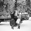 Maitotonkkia nostetaan maitoauton lavalle Läyliäisissä Lopella 1957.