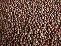 lentils