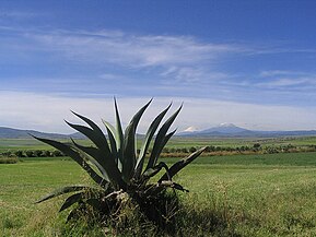 Altiplano sub-húmedo Apan, Hidalgo