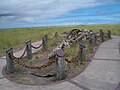 The whale skeleton on the Long Beach Trail