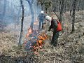 APFM protégeant les lisières d'un brûlage dirigé en forêt Domaniale de Morières-Montrieux en 2006.