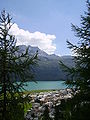 Lago de Silvaplana e de Champfer