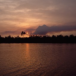 Røg fra oliebrand ved Nembe Creek