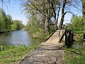 la rivero apud Lübben, Spree-arbaro