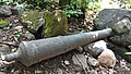 Cannon near the fort