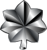 Lieutenant Colonel