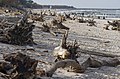 Ustka plaża wschodnia po sztormie