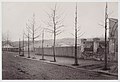 Vue d'ensemble des carrières. Amorce du nouveau marché de la rue de Mexico [actuelle rue Manin] (Charles Marville).