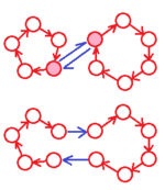 Durch die Hintereinanderausführung einer Permutation (rot) mit einer Vertauschung (blau) erhöht sich die Anzahl der Zyklen um eins, wenn die vertauschten Elemente innerhalb eines Zyklus liegen (links) und sie verringert sich um eins, wenn sie in verschiedenen Zyklen liegen (rechts).